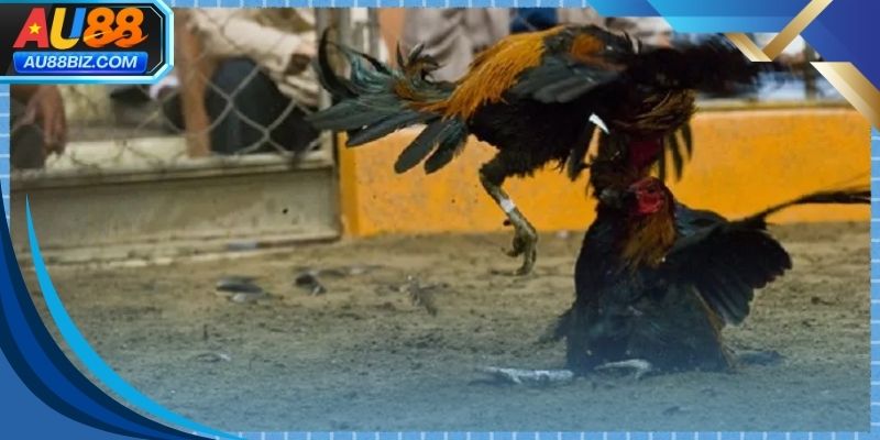 Giao diện trực quan giúp người chơi dễ dàng theo dõi diễn biến trận đấu