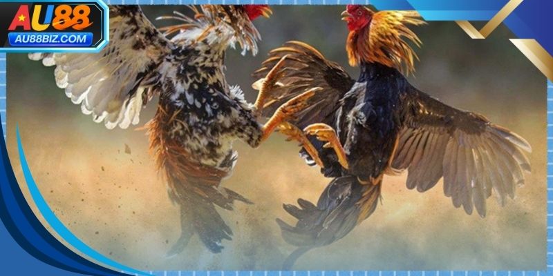 Trải nghiệm kịch tính giúp người chơi cảm nhận rõ sự hấp dẫn từng trận đấu