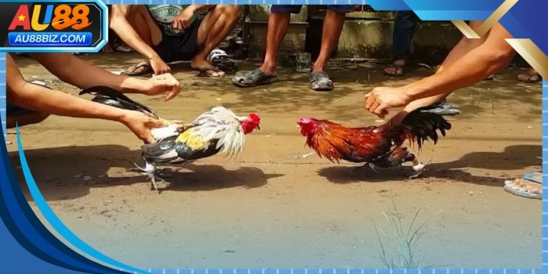 Chuẩn bị đầy đủ thông tin giúp quá trình trải nghiệm trở nên dễ dàng hơn