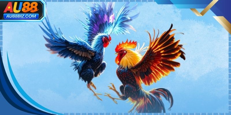 Không gian theo dõi đá gà trực tuyến sắc nét và chân thực