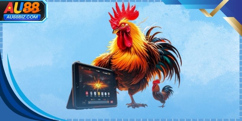 Hệ thống đá gà trực tuyến hiện đại và tiện lợi